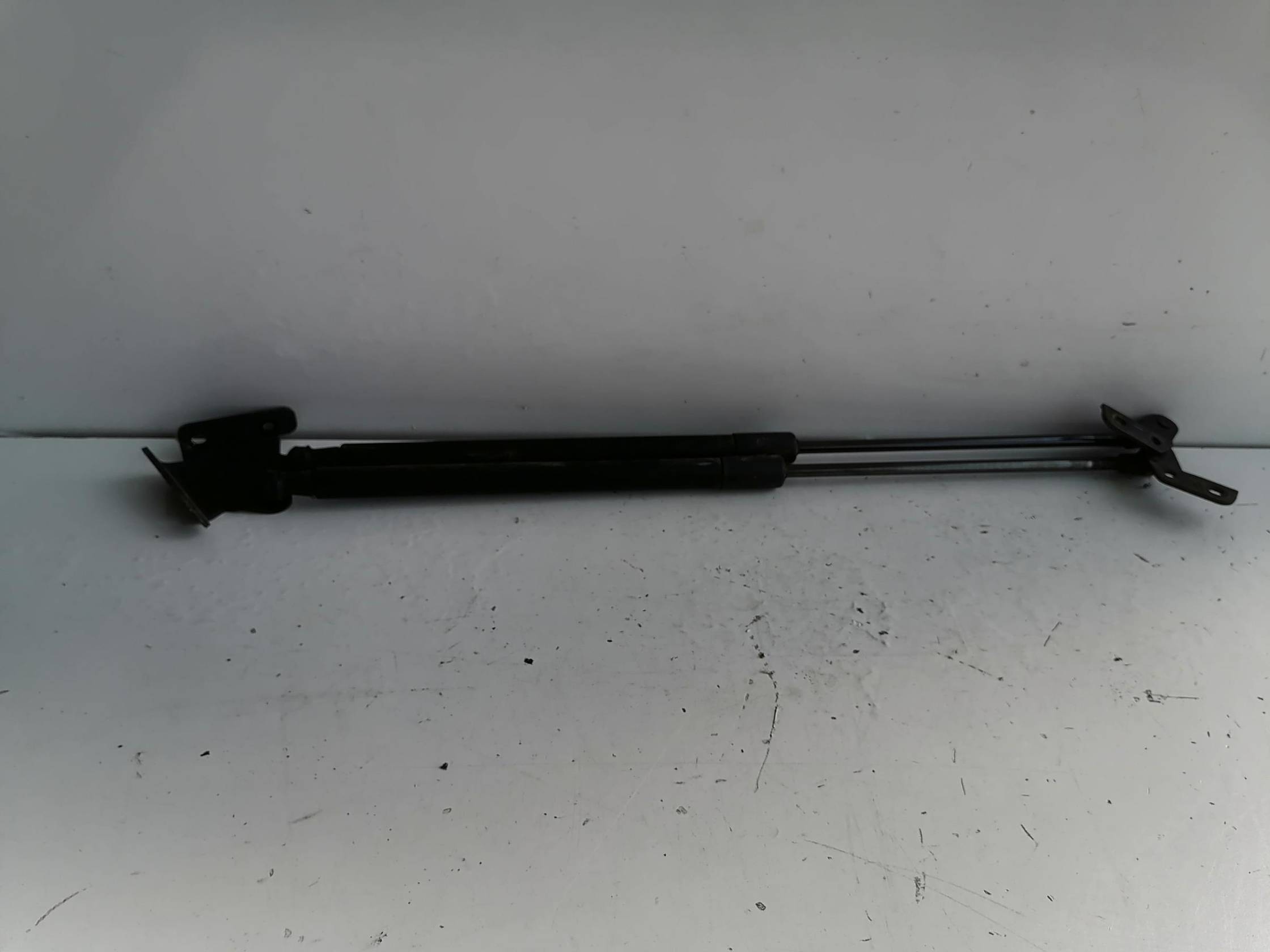 Asta ammortizzante portello post. sx.